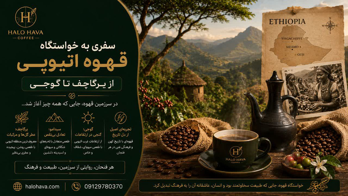قهوه اتیوپی