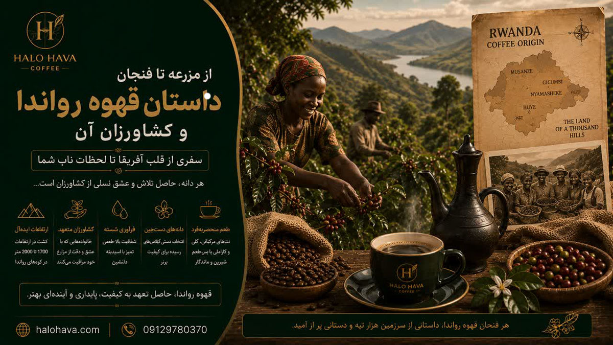 از مزرعه تا فنجان؛ داستان قهوه رواندا و کشاورزان آن