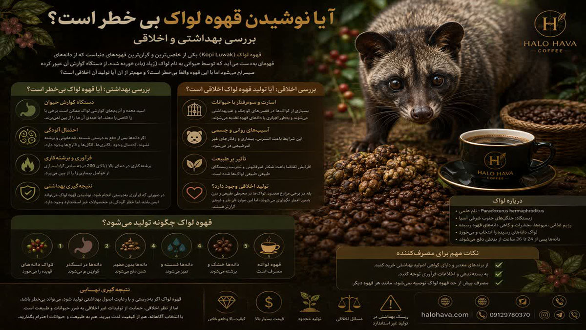 آیا نوشیدن قهوه لواک بی‌خطر است؟ بررسی بهداشتی و اخلاقی Kopi Luwak