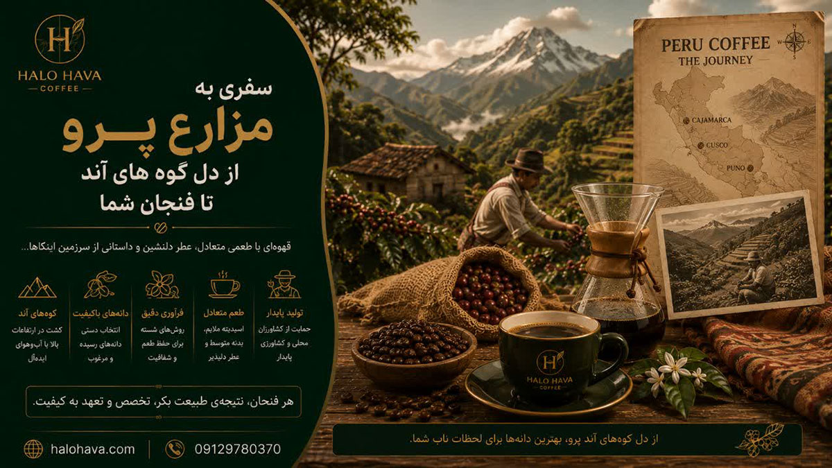 سفری به مزارع قهوه پرو؛ از دل کوه‌های آند تا فنجان شما