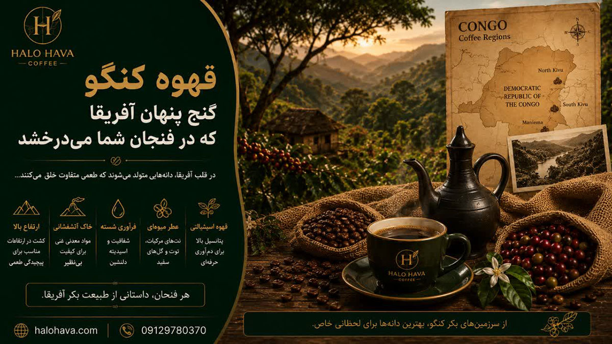 قهوه کنگو؛ گنج پنهان آفریقا که در فنجان می‌درخشد