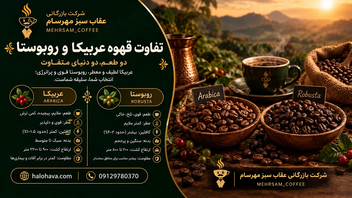 تفاوت قهوه عربیکا و روبوستا