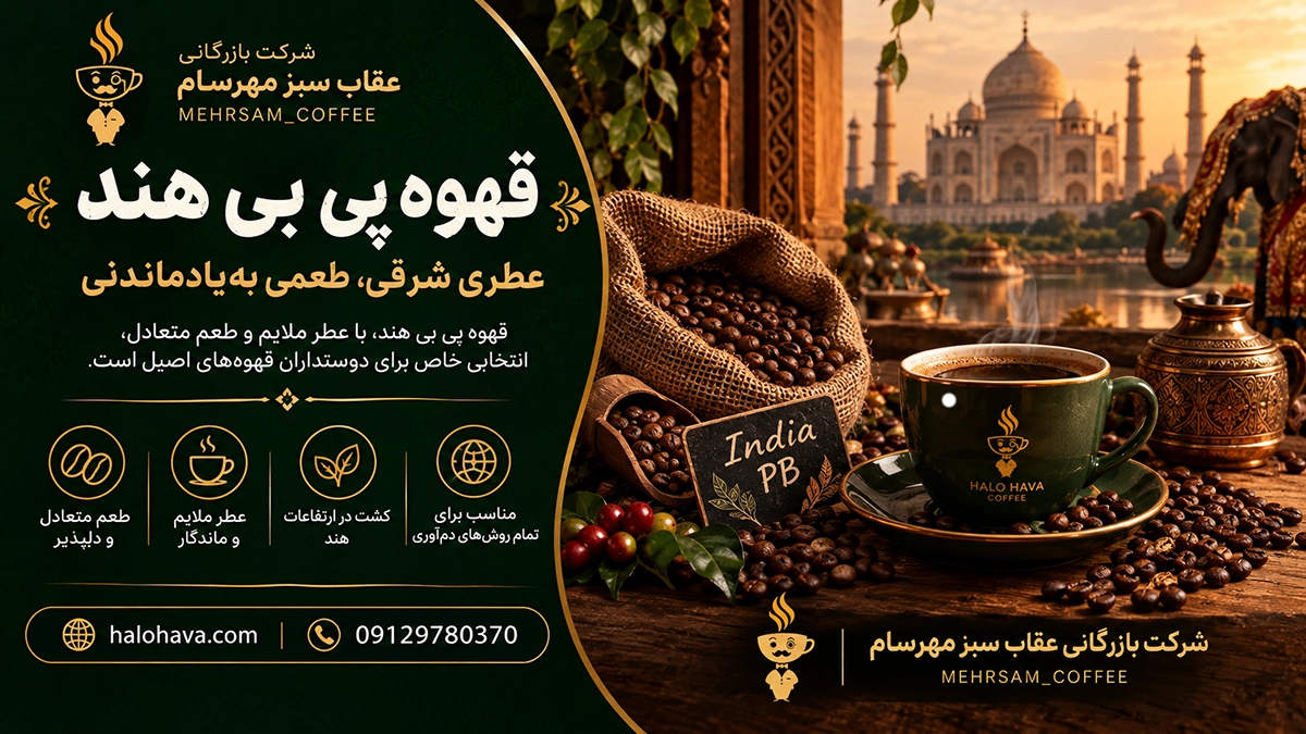 قهوه پی‌بی هند (Indian PB) چیست؟ راهنمای کامل شناخت، خرید، رست و دم‌آوری قهوه پی بی